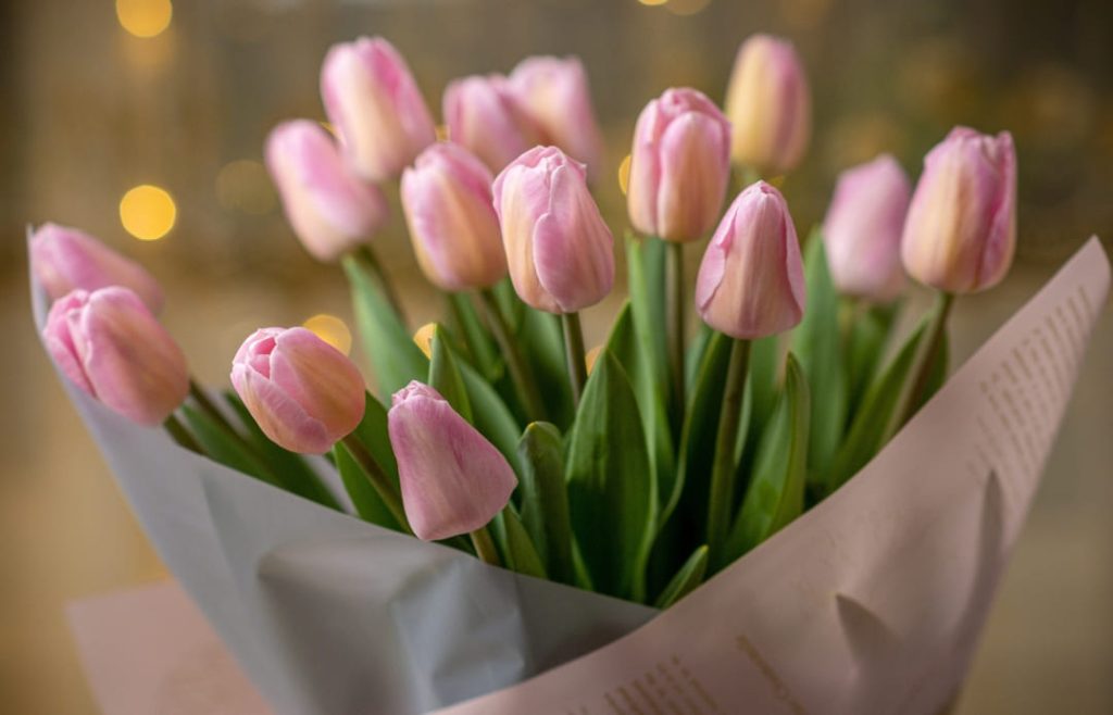 Plano funerário Memorial Vale da Saudade