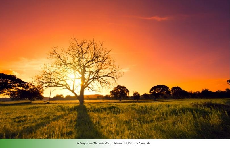 Plano funerário Memorial Vale da Saudade Plano Funerário familiar cemitério Memorial Vale da Saudade Artigos de Blog