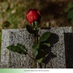 Eutanásia, distanásia e ortotanásia