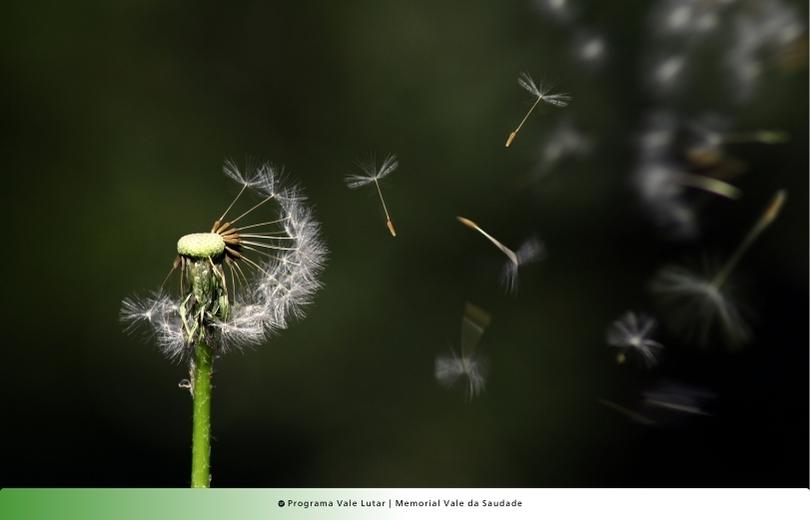 Plano funerário Memorial Vale da Saudade