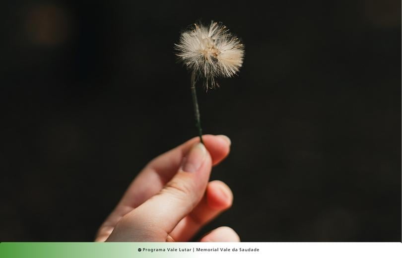 Plano funerário Memorial Vale da Saudade Plano funerário Memorial Vale da Saudade