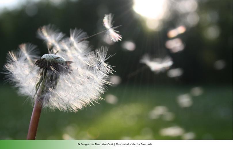 Plano funerário Memorial Vale da Saudade